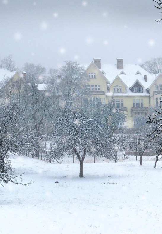 Monrepos im Schnee | © MONREPOS|RGZM Monrepos im Schnee | © MONREPOS|RGZM