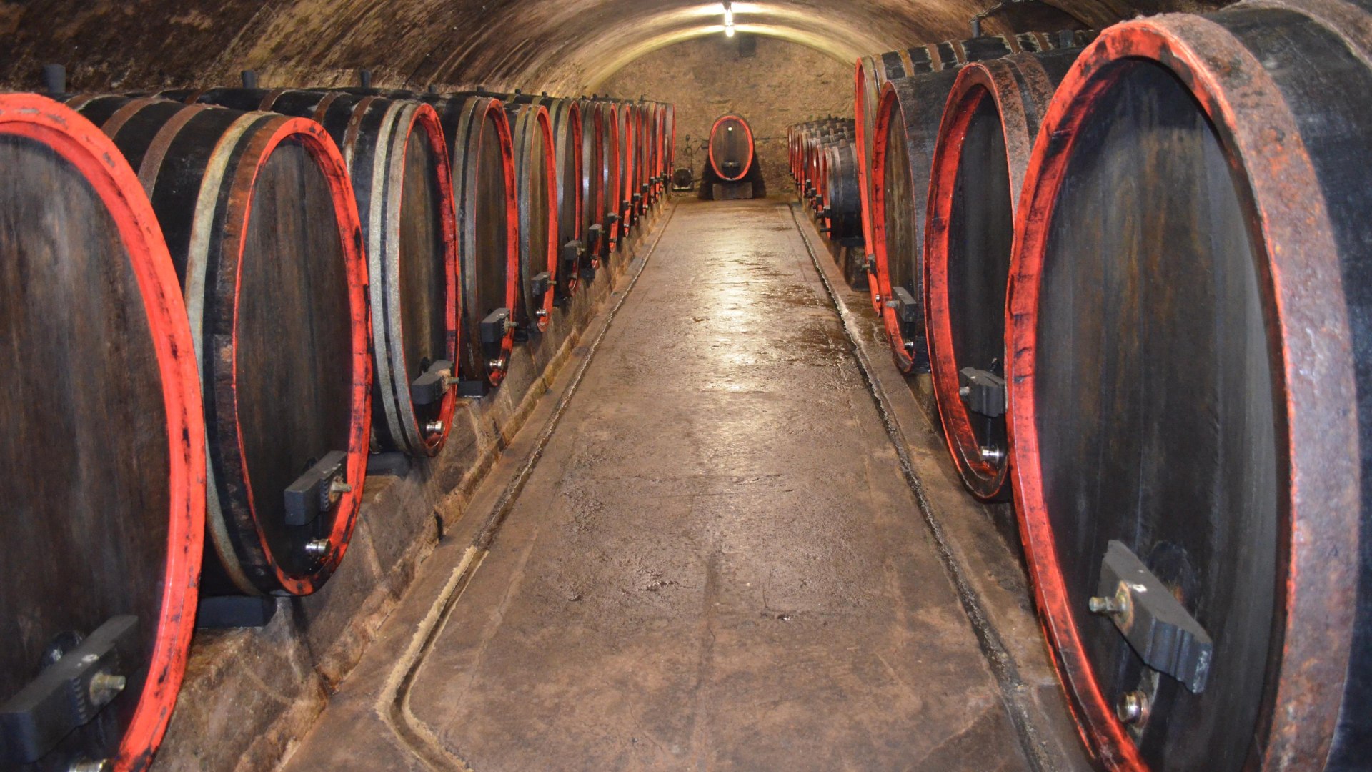 Weinkeller | © Luise Lutterbach Weinkeller | © Luise Lutterbach