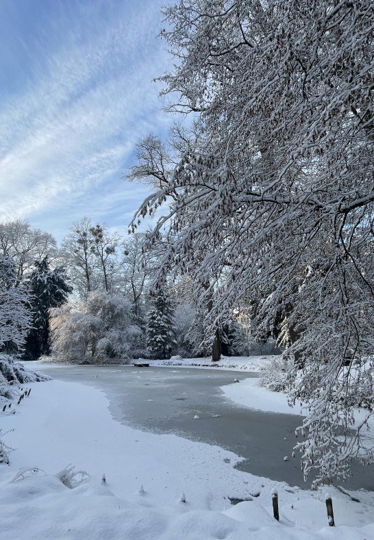 Schlosspark im WinterII | &copy; Stadt Bendorf