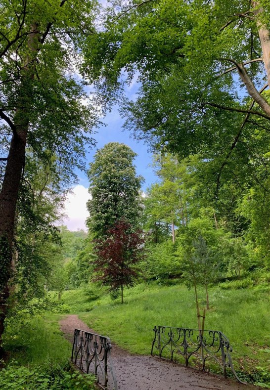 Marienberger Park 3 | © Tourist Information Boppard Marienberger Park 3 | © Tourist Information Boppard