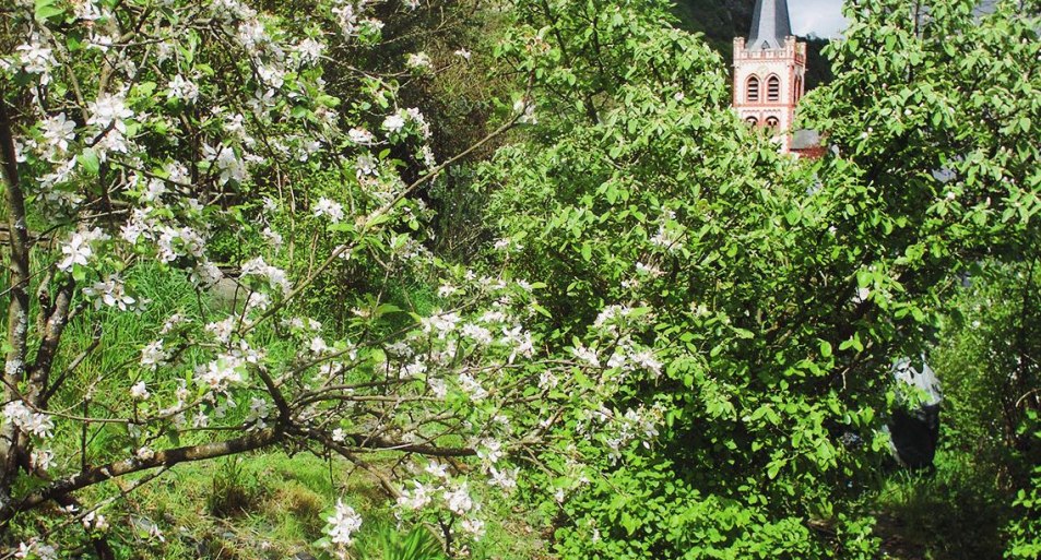 Winzergarten Bacharach Ausblick | © Jean-Marc Petit Winzergarten Bacharach Ausblick | © Jean-Marc Petit