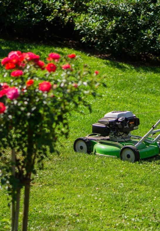 Bild3 | &copy; Klaus Dillmann